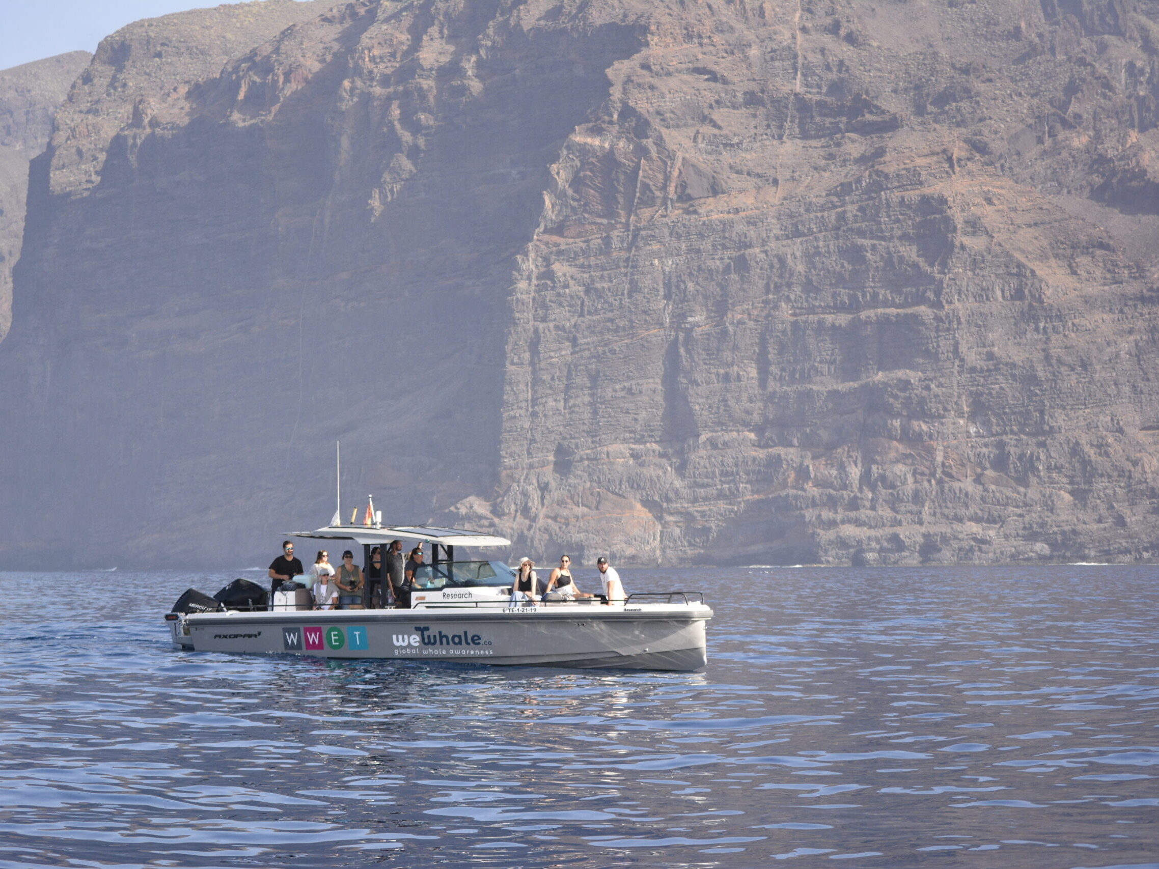 Tenerife private whale dolphin